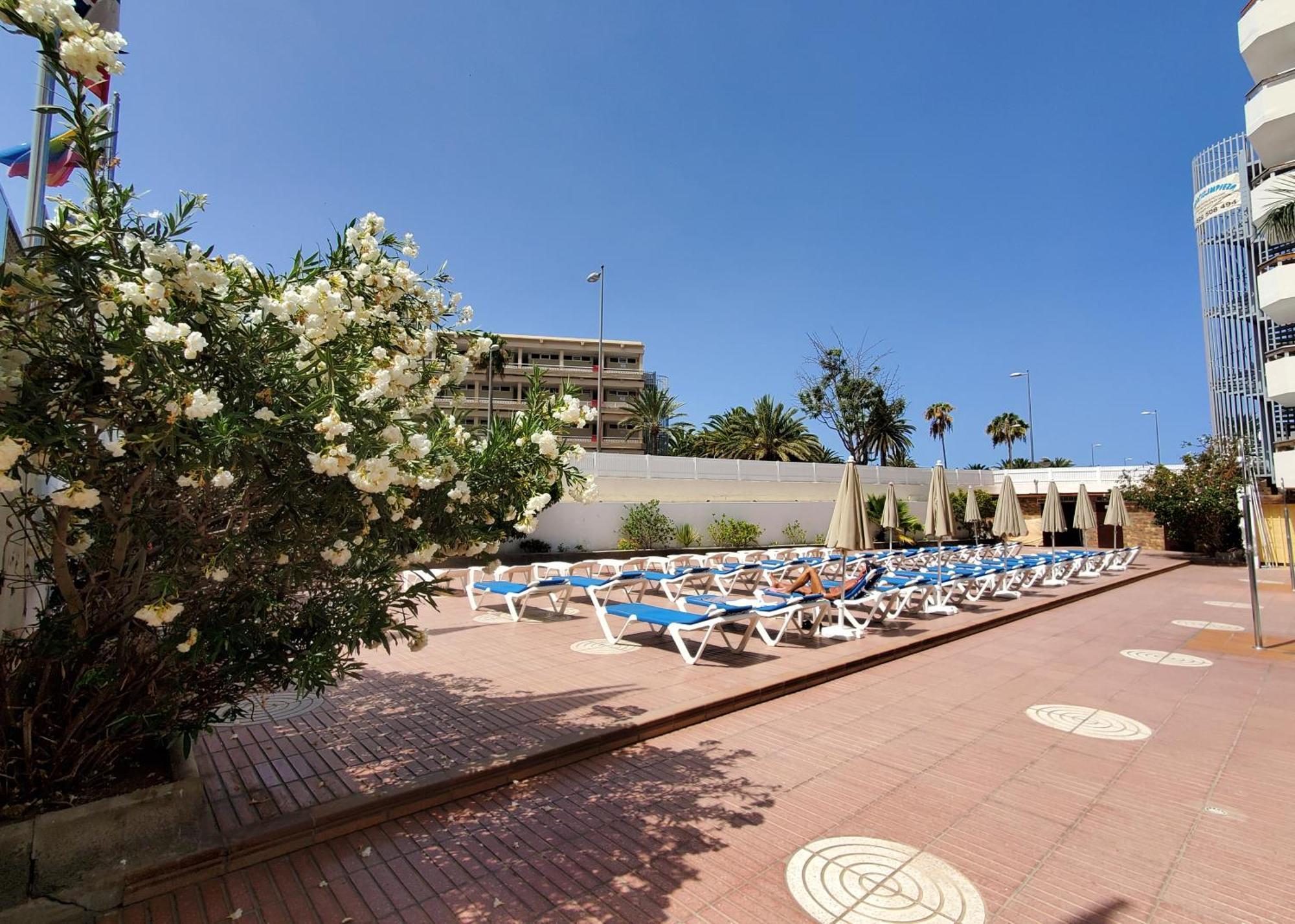 Las Camelias Apartments Playa del Ingles  Exterior foto